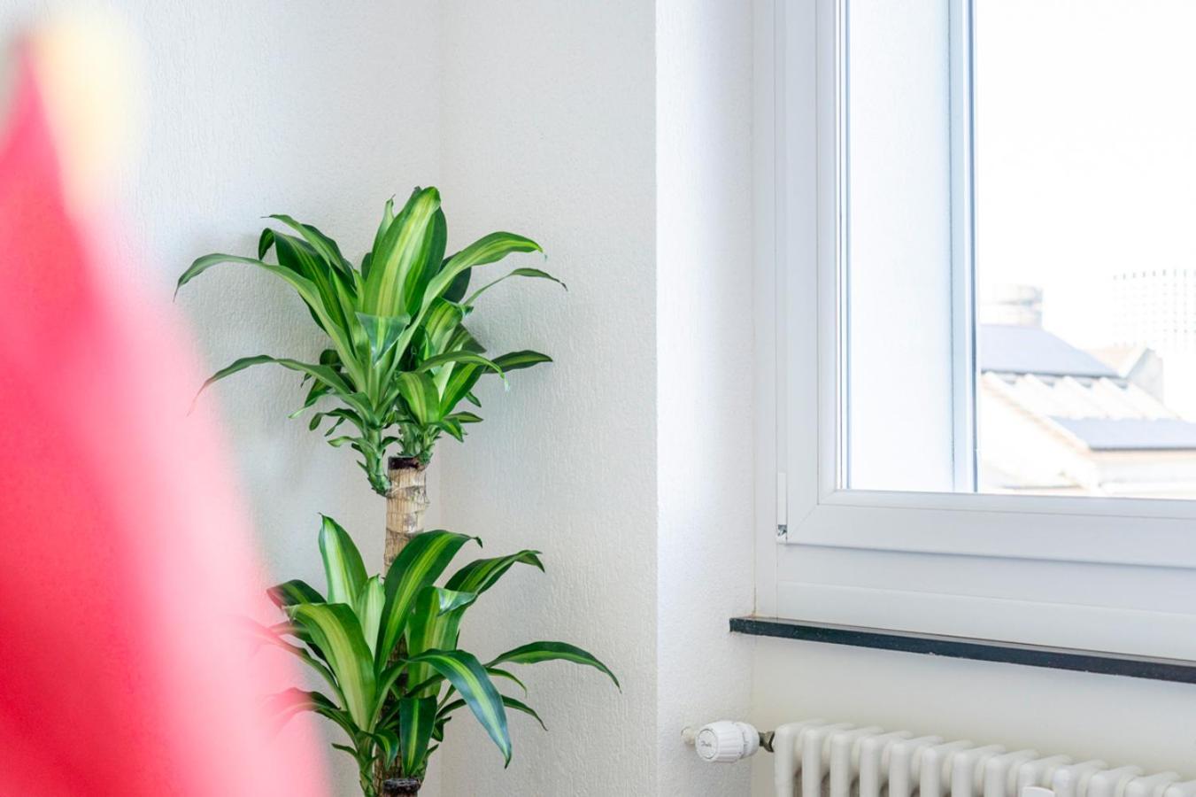 Special Picco Picasso Apartment Basel, Bahnhof Grossbasel 10-Star エクステリア 写真